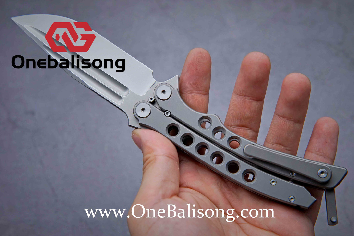 Charlie clone Titanium handle M390 steel bearing
